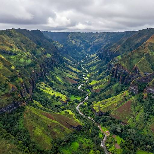 Kauai Aerial View Landscape
