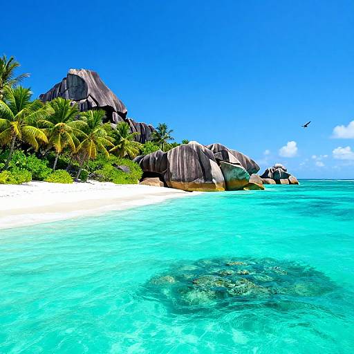 Photograph of a tropical beach with turquoise water, white sand, lush green palm trees, and large rocky formations under a bright blue sky.