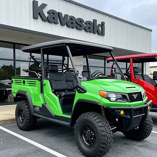 Vibrant Green Kawasaki Teryx4 LE