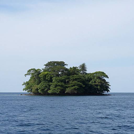 Photograph of a small, lush, green island with dense trees centered in the middle of a calm, blue ocean under a clear, light blue sky