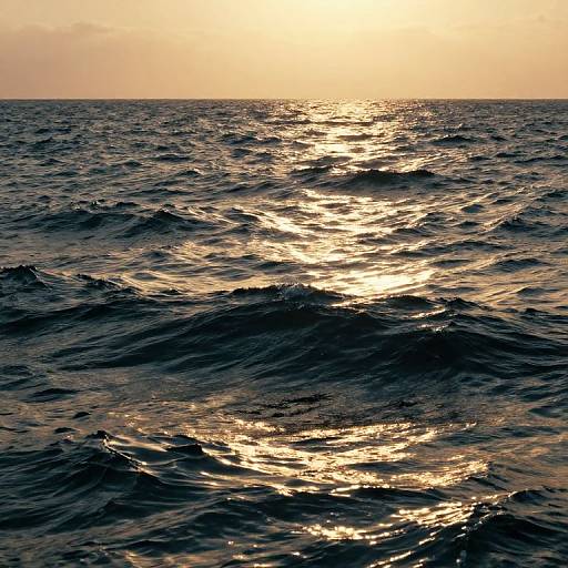 Photograph of a sunlit ocean with shimmering, dark blue waves reflecting golden sunlight, under a partly cloudy sky at sunset.
