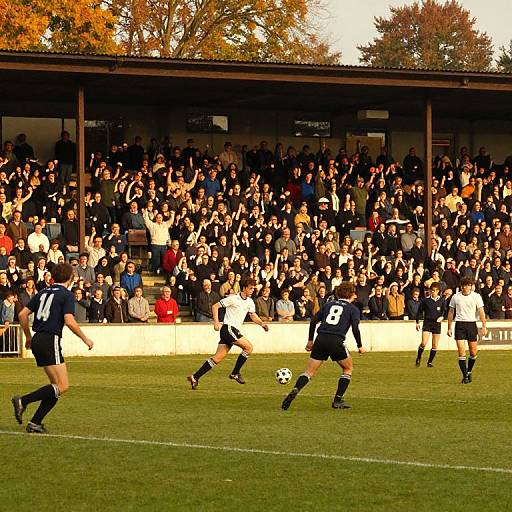 Photograph of a soccer match: players in black and white uniforms on green field, crowded stadium with autumn trees in background.