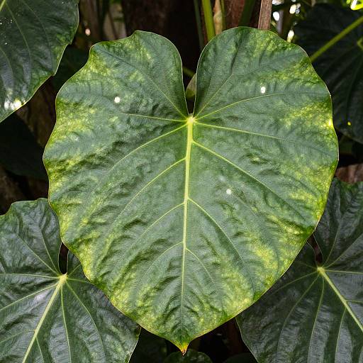 Photorealistic Monstera Jungle Close-Up