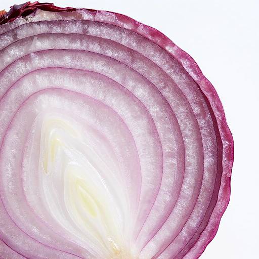 Vivid Spiral of Red Onion Slices