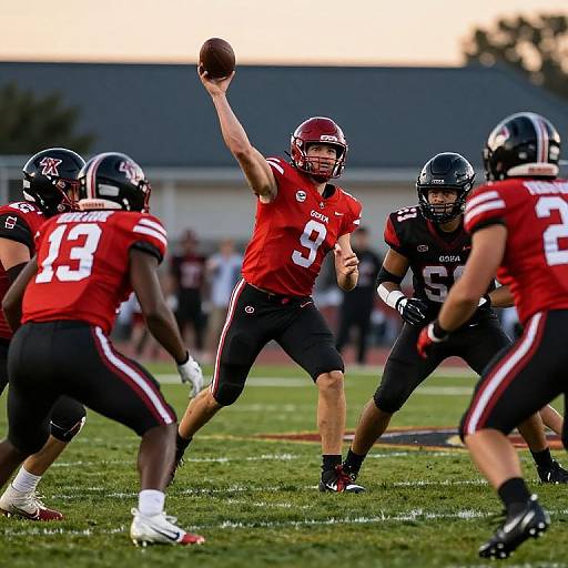 Vivid Sunset UGA Football Game