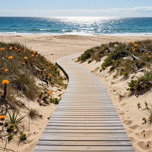 Cosmos Beach Sand Dune Walkway