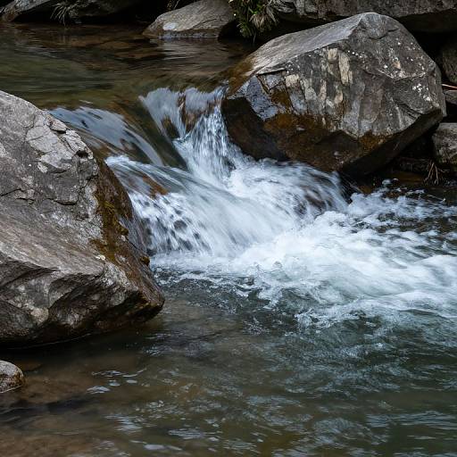 Photograph of a small, clear waterfall cascading over dark, moss-covered rocks in a natural, forested stream. White water contrasts with dark rocks