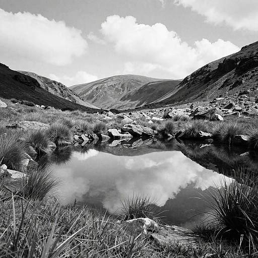 Serene Black and White Mountain Landscape