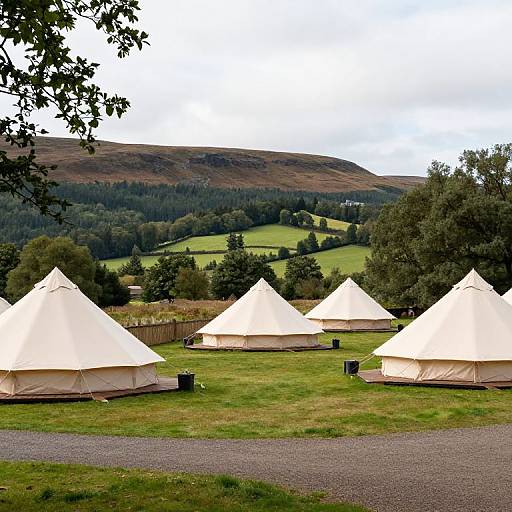 Photograph of five white canvas tents on a grassy field, surrounded by trees, with a rolling hill landscape in the background.