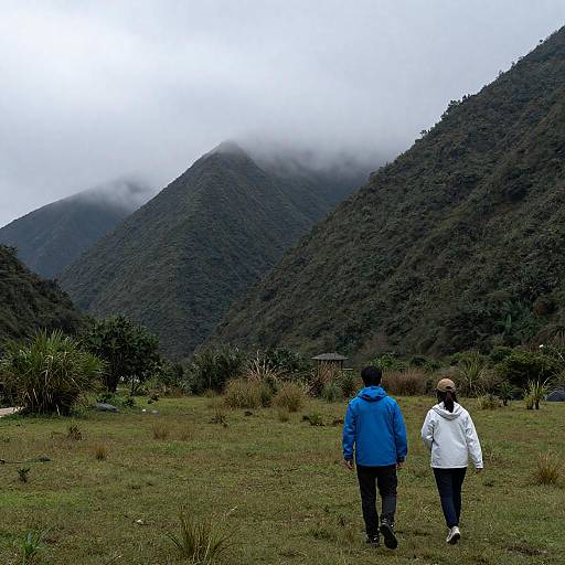 Hikers Walking Toward Misty Mountains