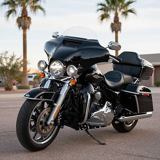 Photograph of a shiny black touring motorcycle with dual headlights, saddlebags, and chrome accents, parked on a paved surface with palm trees and a building
