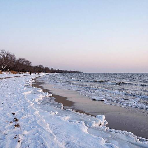 Winter Shoreline with Frozen Waves