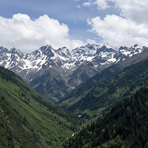 Photograph of snow-capped mountain peaks under a bright blue sky with white clouds, surrounded by lush green valleys and dense forests.