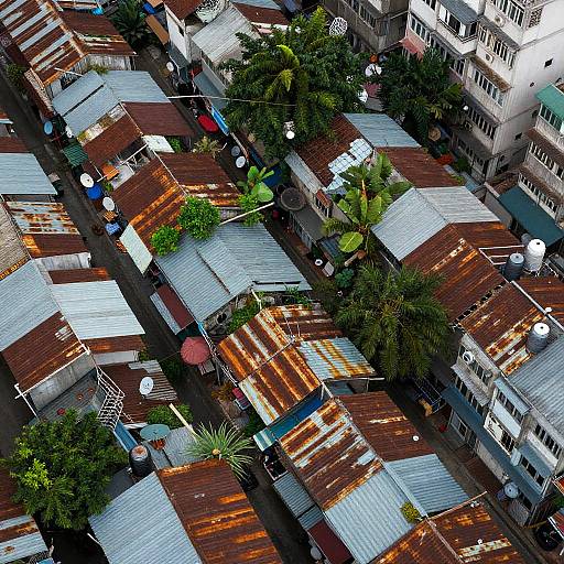 Kowloon Slums Aerial Urban Decay
