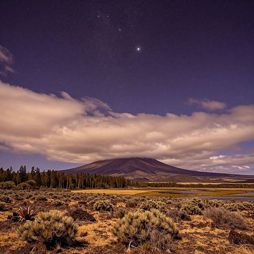Photograph of a nighttime landscape with a starry sky, a mountain, cloudy horizon, and dry grassy field in the foreground.