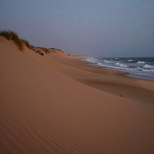 Surreal Oceanfront Dunes at Dusk