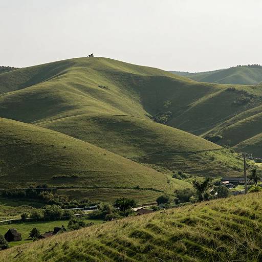 Living Noses on Whispering Hills
