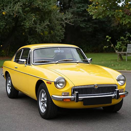 Photograph of a bright yellow, vintage 1960s car with chrome details, parked on a paved road, surrounded by lush green trees.