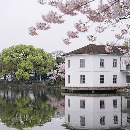 Photograph of a white, two-story house with brown roof, reflected in a calm pond, surrounded by pink cherry blossoms and a lush green tree