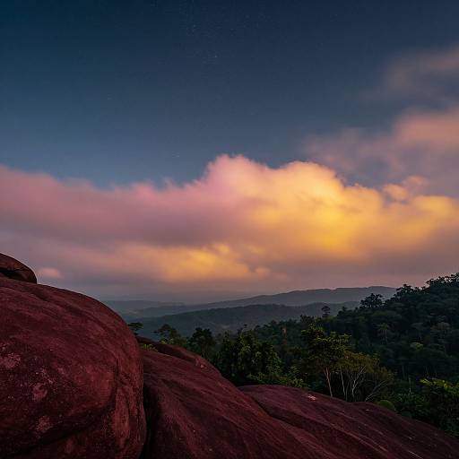 Mesmerizing Celestial Rainforest Landscape