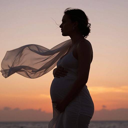 Silhouetted pregnant woman in flowing dress against vibrant sunset, wind blowing through hair and fabric, serene ocean in background. Photographic image.