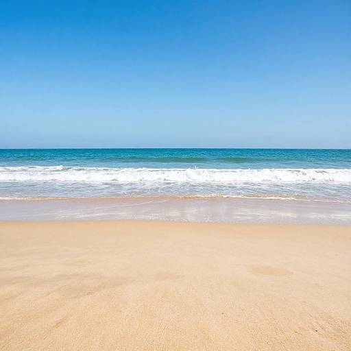 Photograph of a sunny beach with golden sand, calm blue ocean, and clear sky. Waves gently break onto the shore.