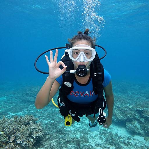Scuba Diving in Tropical Waters