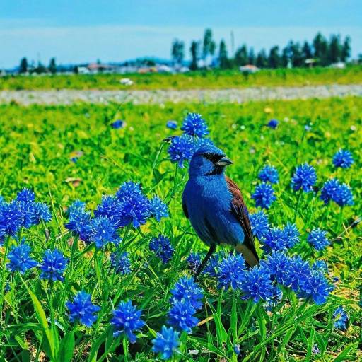 Serene Outdoor Scene with Flora and Fauna