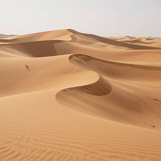 Photograph of a vast, sunlit desert with smooth, undulating sand dunes in warm orange hues, a small figure in the distance, and