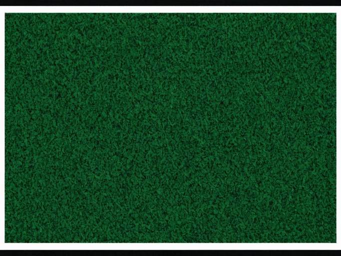 Elegant Green Background with Borders