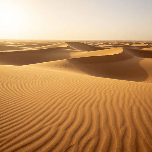 Photograph of a golden desert landscape at sunset, featuring rippled sand dunes with intricate wave patterns under a bright, glowing sky.