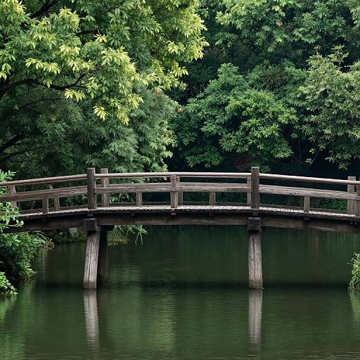 Tranquil Bridge in Nature's Embrace