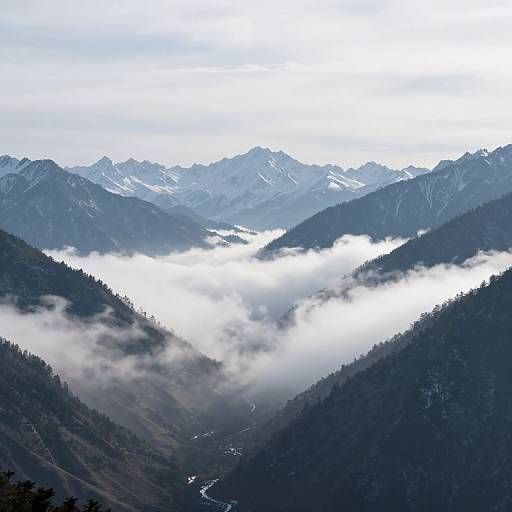 Photograph of a misty mountain valley with dense forest-covered hills, a winding river, and snow-capped peaks in the background.