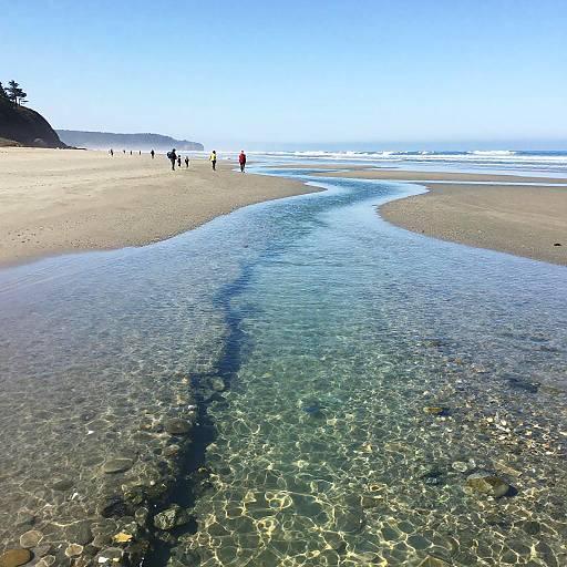 Hyperrealistic Oregon Coast Tide Pools