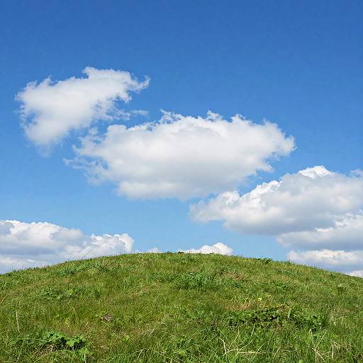 Photograph of a grassy hill under a bright blue sky with fluffy white clouds, capturing a serene, natural landscape.