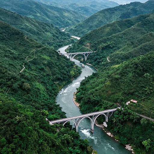 Ethereal Bridges Over Serpentine River