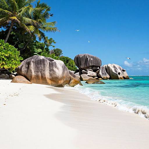 Photograph of a vibrant tropical beach with white sand, clear turquoise water, large smooth rocks, lush green palm trees, and a bright blue sky.