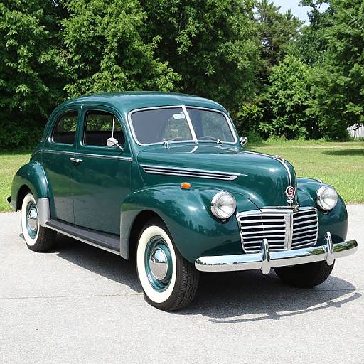 Photograph of a vintage, dark green Volkswagen Beetle with white-walled tires, parked on a sunny, grassy area with lush trees in the background