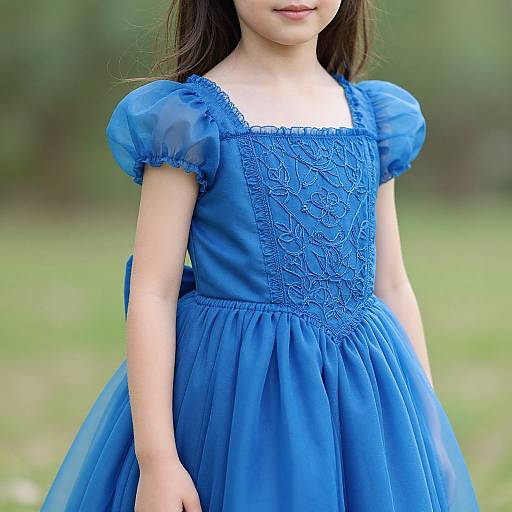 Photograph of a young girl with long brown hair, wearing a vibrant blue, lace-embellished, puffed-sleeve dress, standing