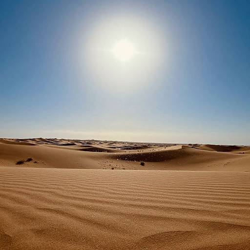 Photograph of a sunlit desert with rippled sand dunes, clear blue sky, and bright sun in the upper center.