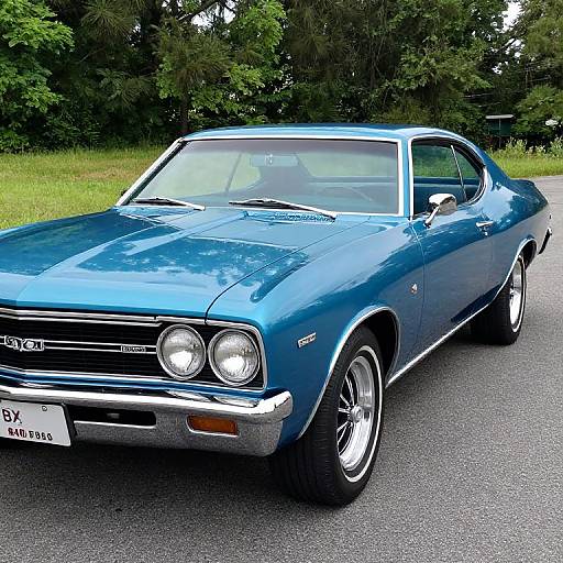 1969 Chevelle Classic Car Sale