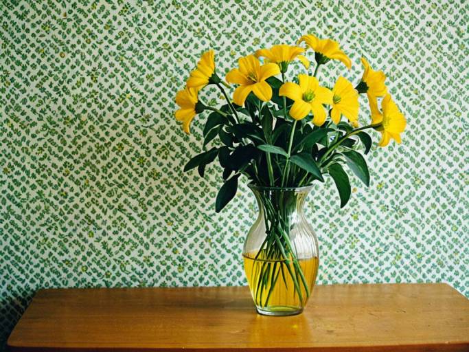 Bright Yellow Flower Vase Wallpaper