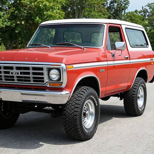 Classic 1979 Ford Bronco