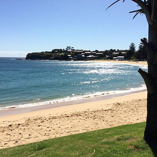 Photograph of a sunny beach with clear blue ocean, white sandy shore, green grassy foreground, and distant rocky island under bright blue sky.