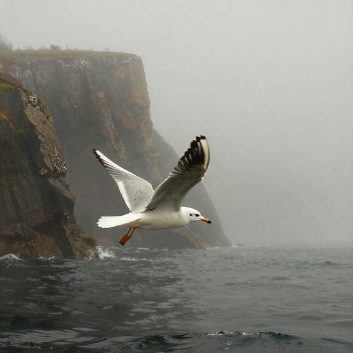 Graceful Seagull Over Misty Cliffs