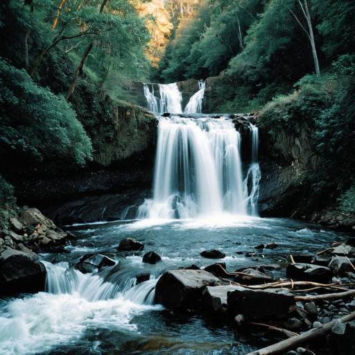 Serene Flowing Waterfall in Forest Serene Flowing Waterfall in Forest
