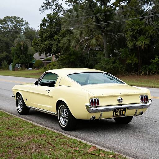 Vintage 1965 Ford Mustang Fastback