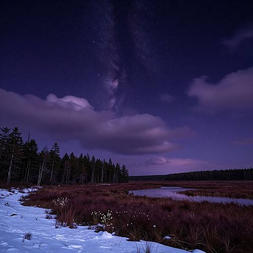 Photograph of a night landscape with snow-covered ground, dark forest, reflective water, purple-blue sky, and visible Milky Way. Clouds partially obscure