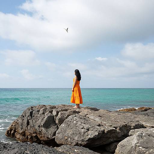 Photograph of a woman in an orange dress standing on rocky shoreline, gazing at a bird in a cloudy, blue sky.