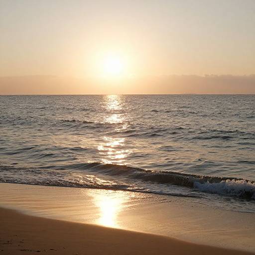 Photograph of a serene sunset over a calm ocean, with golden sunlight reflecting on gentle waves and wet sandy shore.